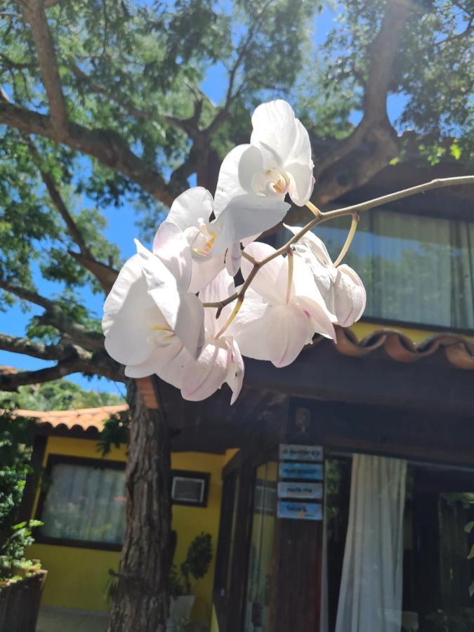 Casa Ferradura Com Hidro,Piscina E 500 Metros Da Praia Búzios Zewnętrze zdjęcie